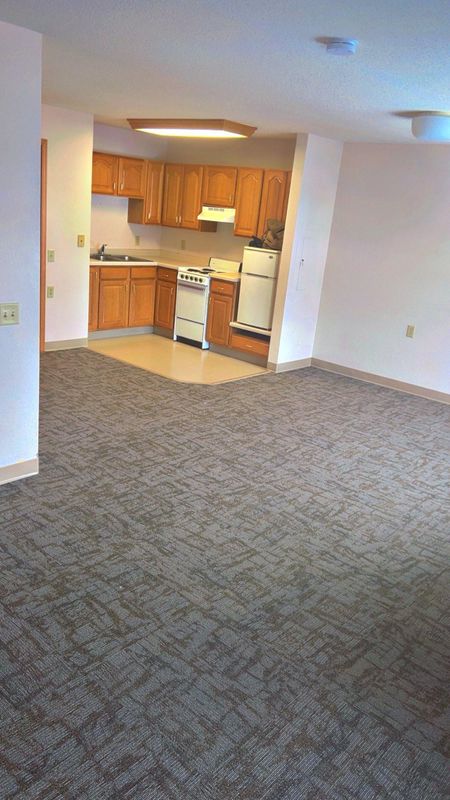 Carpet Installation and Replacement