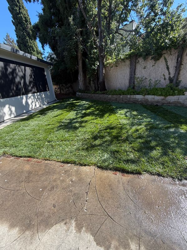 Landscaping