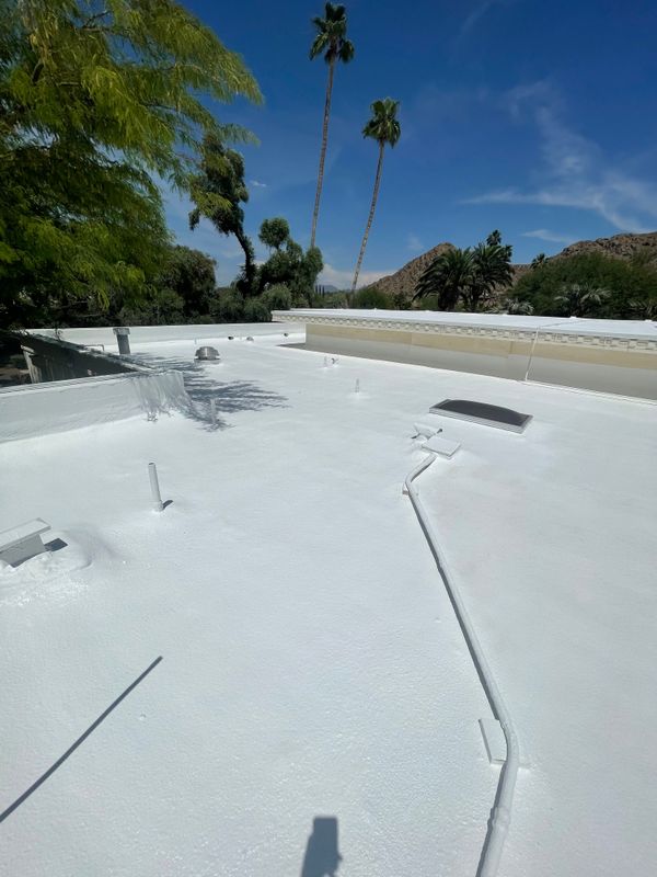 Foam