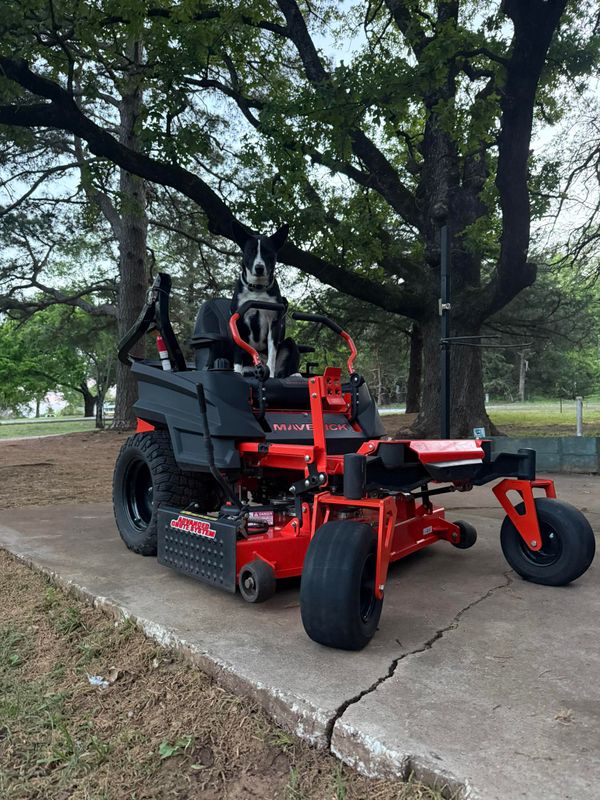 Lawn Mowing