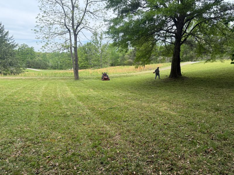 Lawn Maintenance