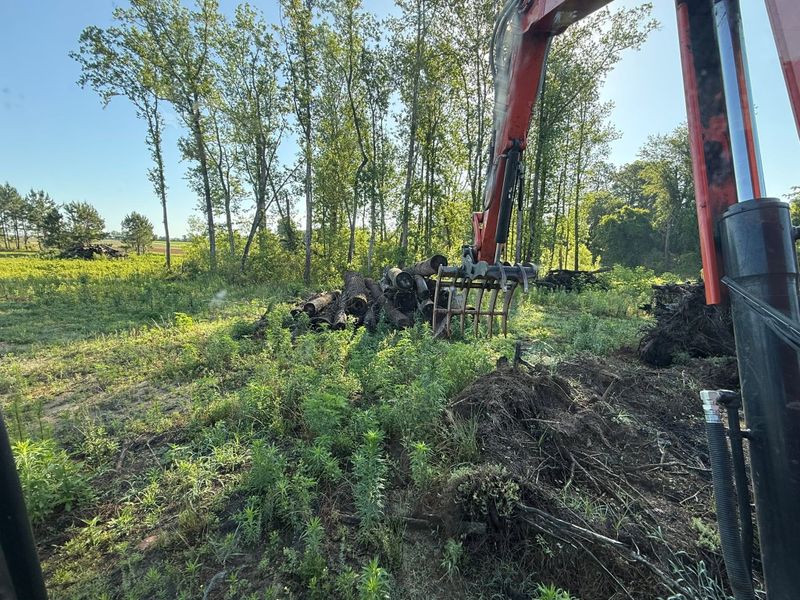 Land Clearing
