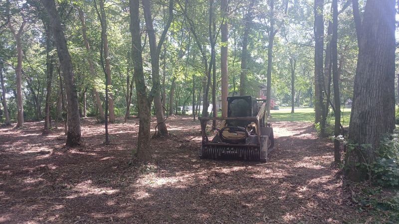 Forestry Mulching