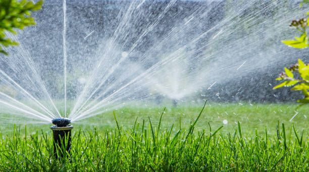 Sprinkler Installation