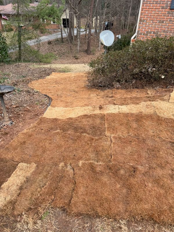 Sod installation