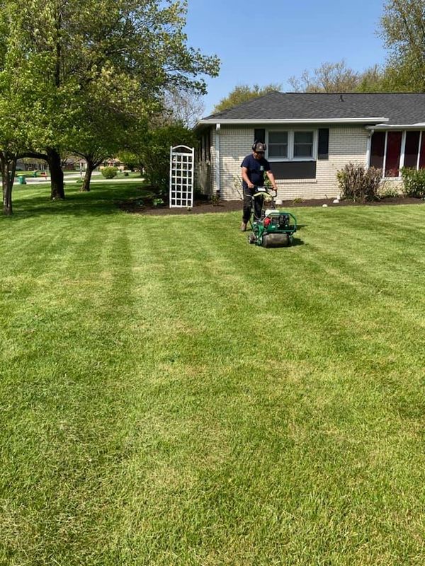 Lawn Aeration