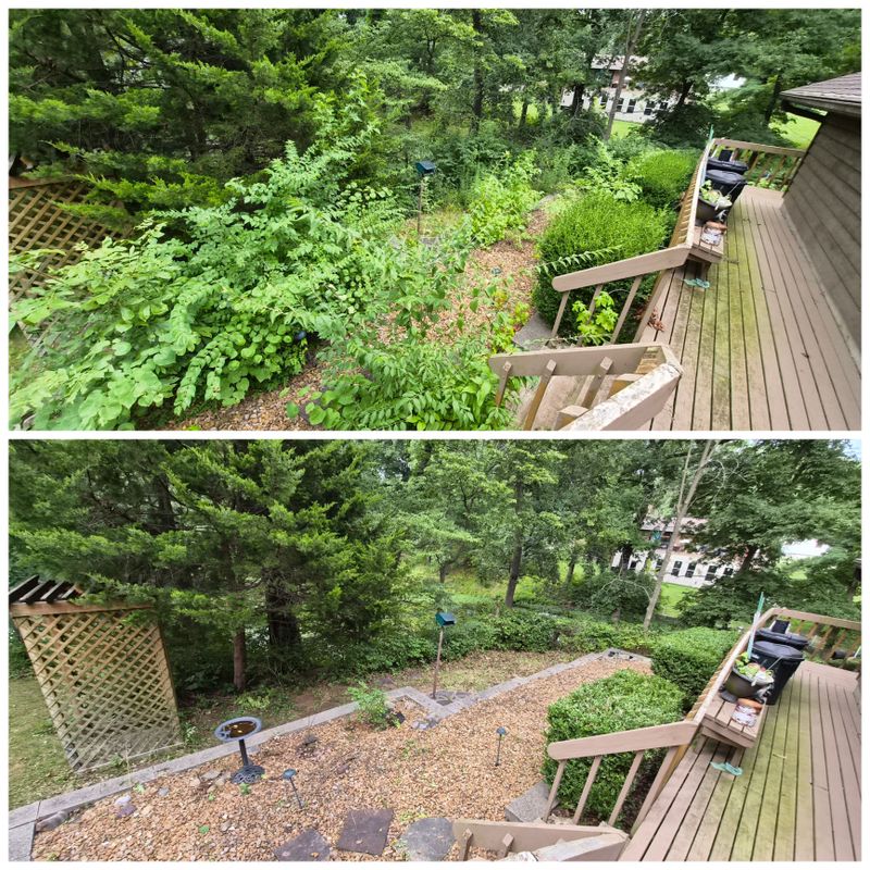 Mulch Bed Installation and Renovation
