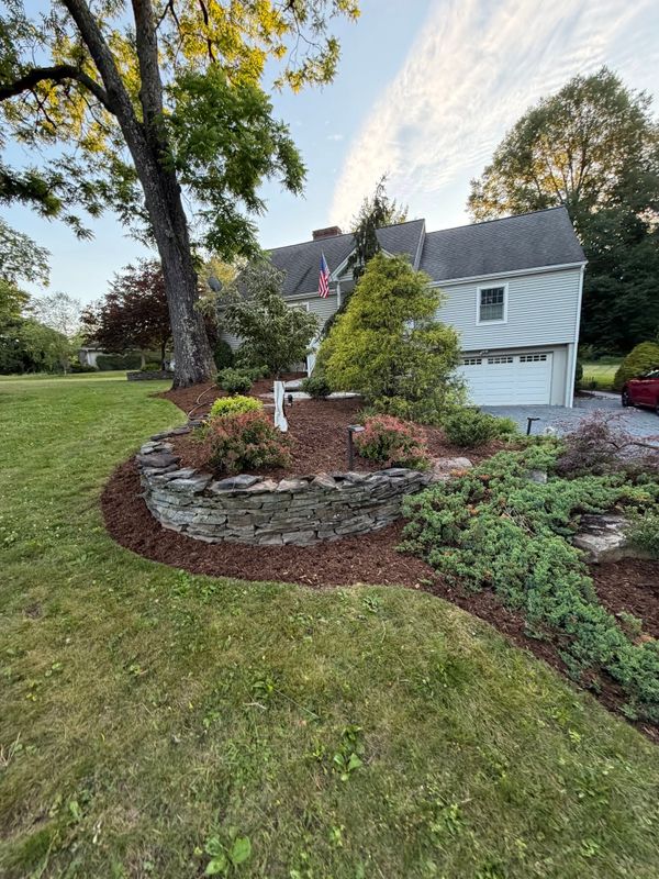 Privacy Hedge Installation