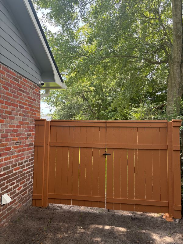 Fence painting 