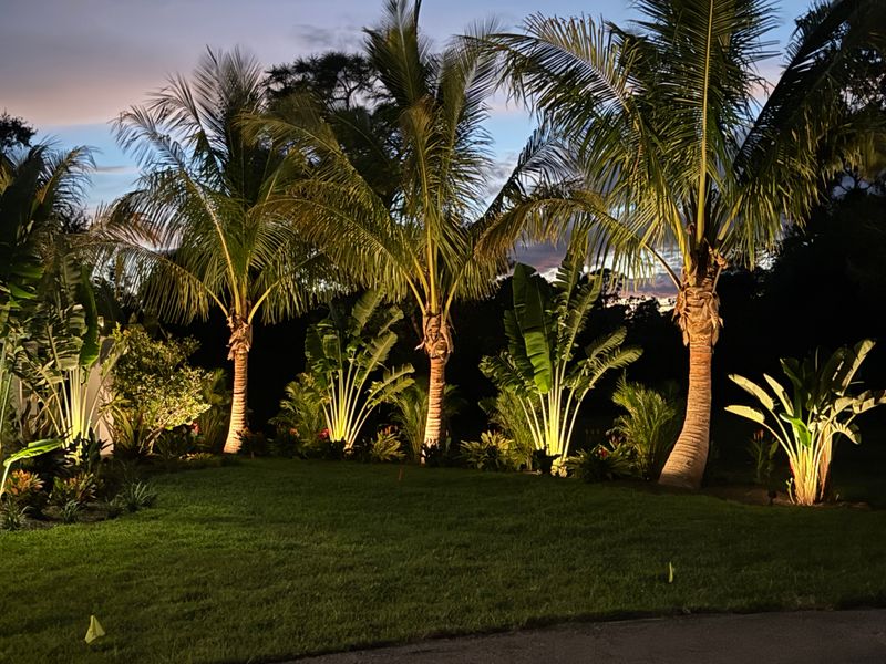 Irrigation and Landscape Lighting