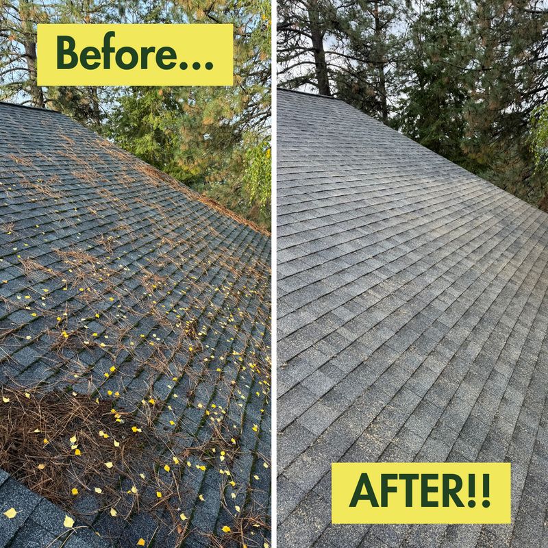 Before & After Photos