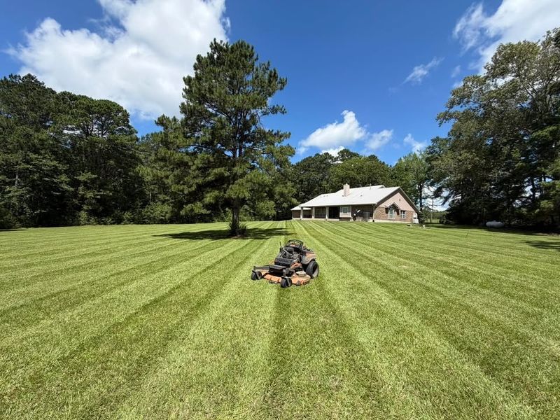 Lawn Maintenance