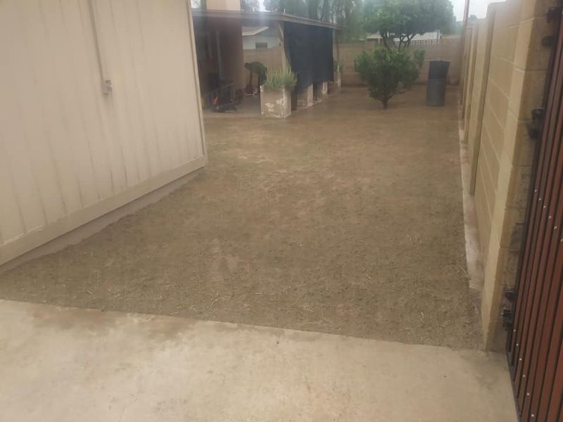 Lot Clean Up