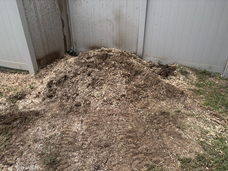 Stump Removal