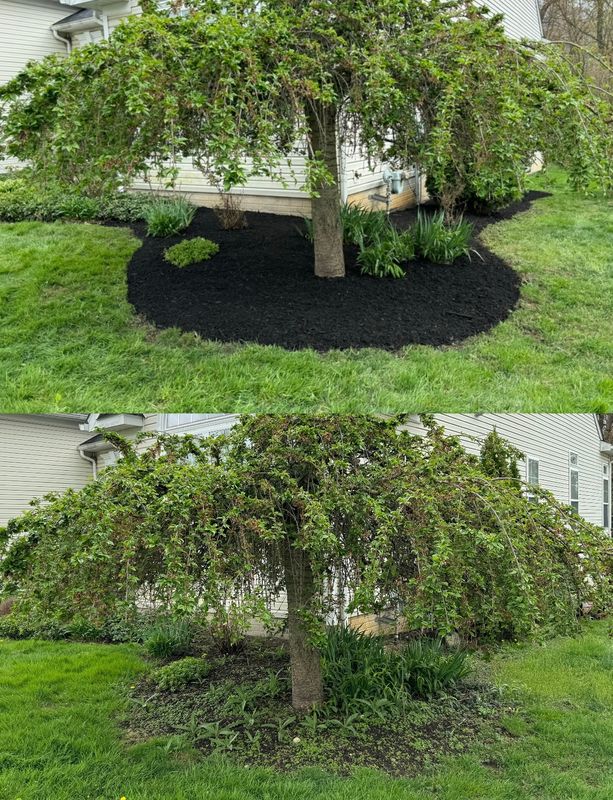 Mulch Installation