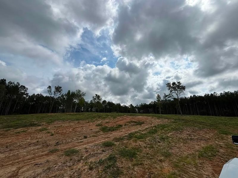 Land Clearing and Site Preparation