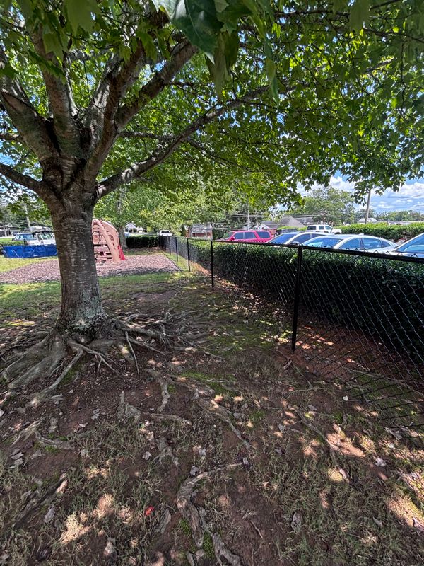 Chainlink Fences
