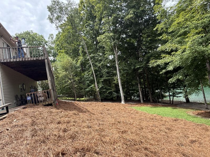 Landscape Installation