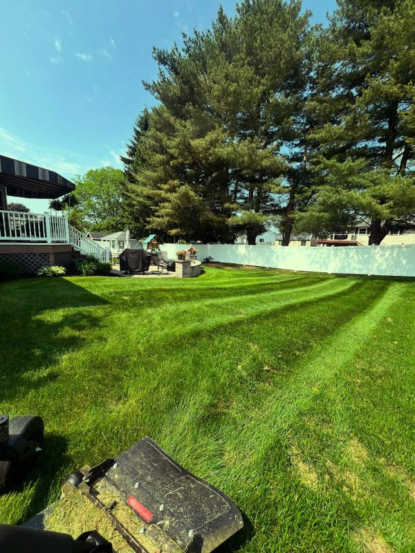 Lawn Mowing