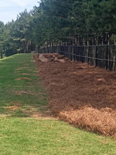 Pinestraw Installation