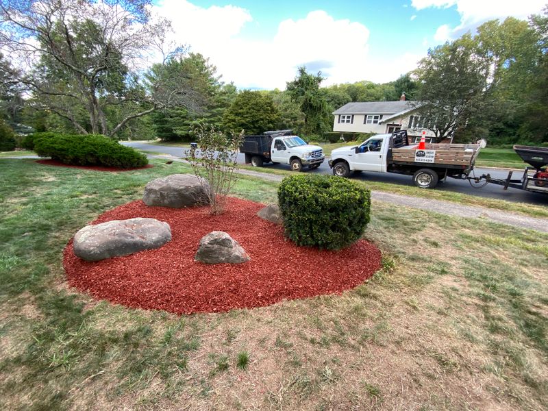 Lawn Maintenance