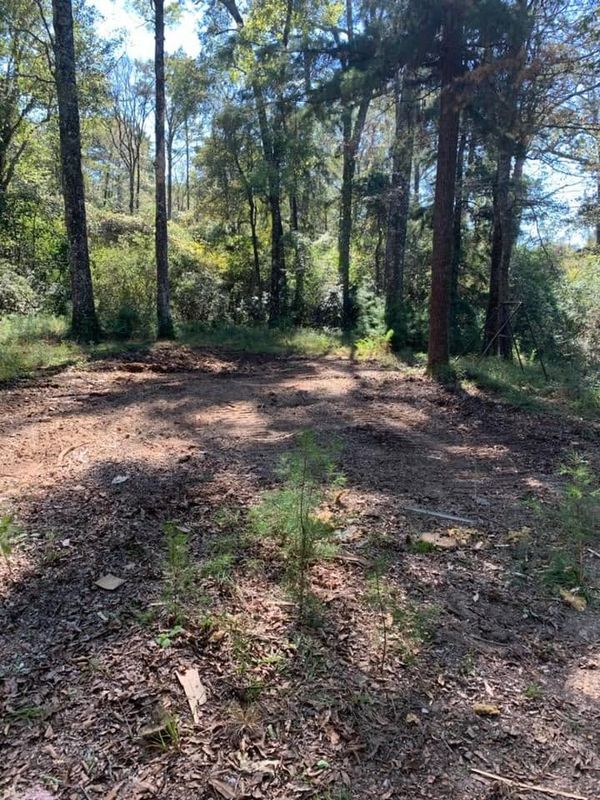 Land Clearing