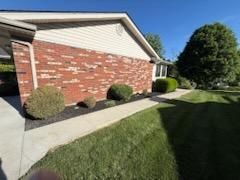 Tree & Shrub Care