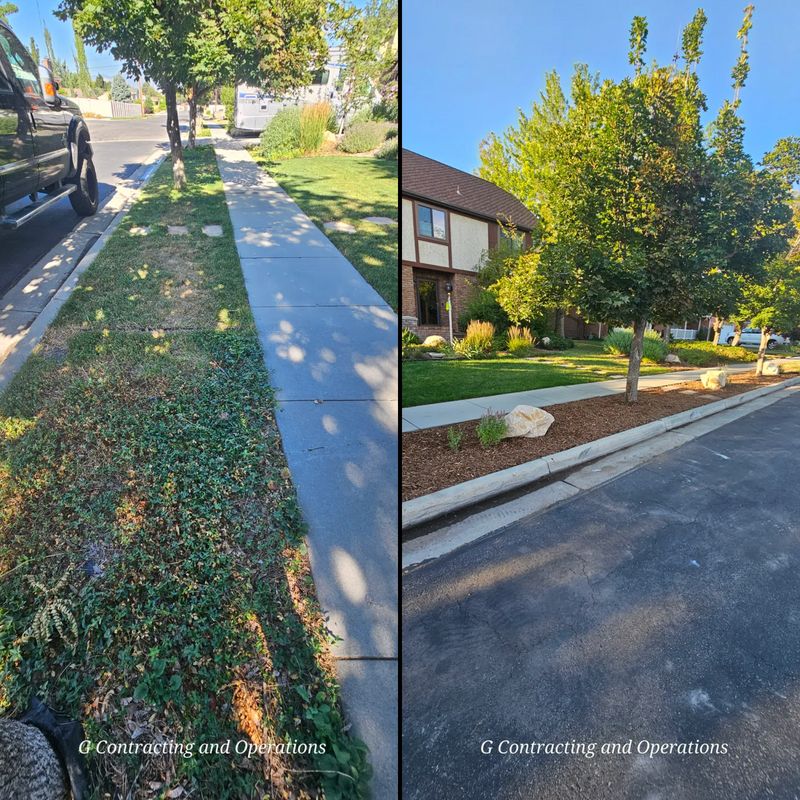 Irrigation System Design & Install