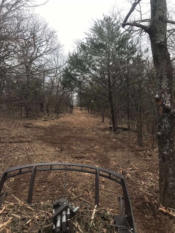 Forestry Mulching