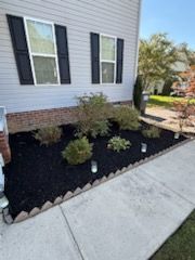 Mulch Installation