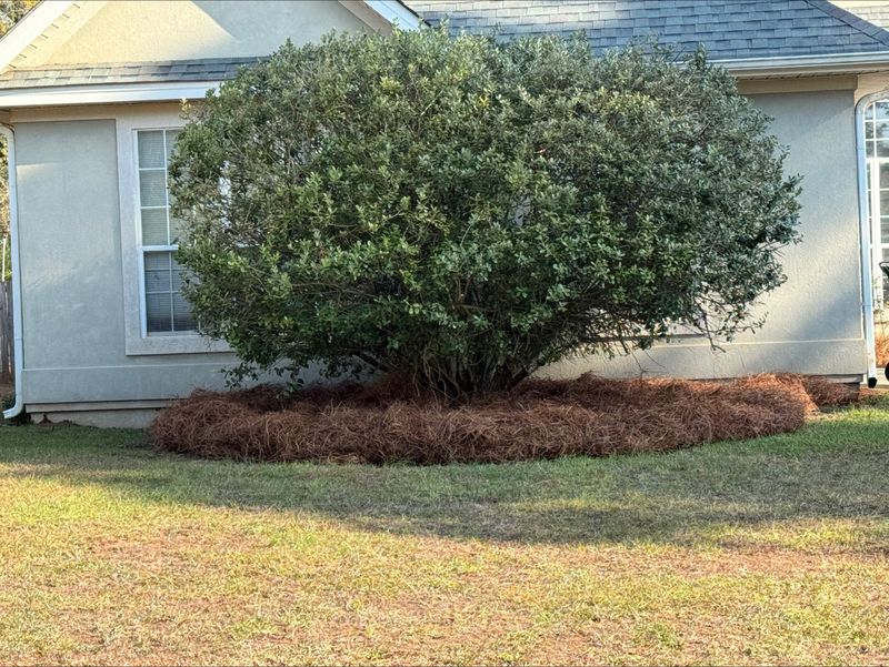 Turf, Ornamental, and Irrigation