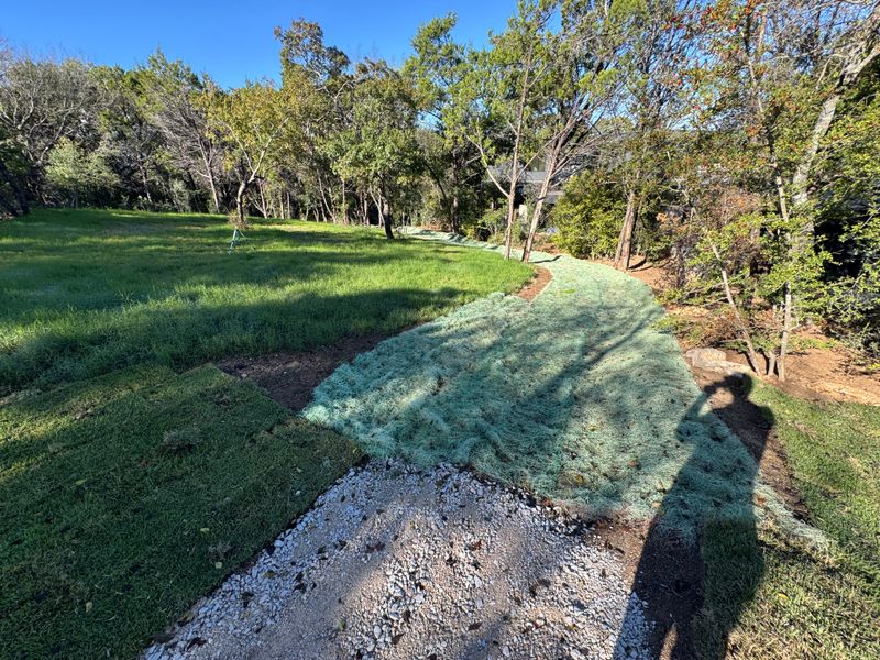 Lawn Care & Maintenance