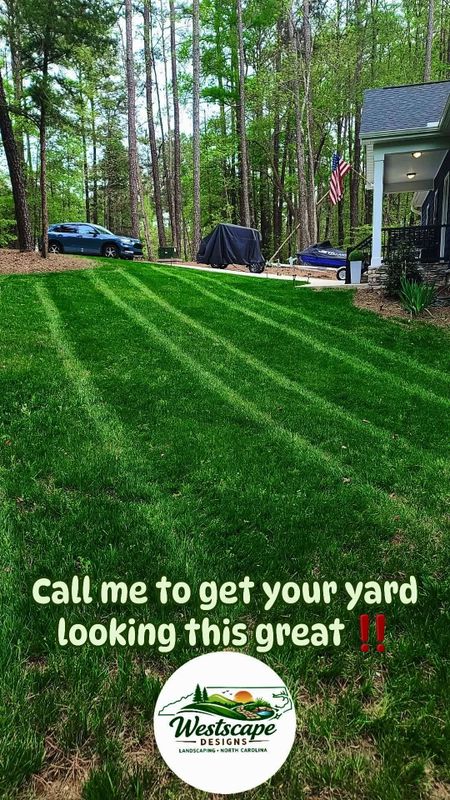 Lawn Maintenance