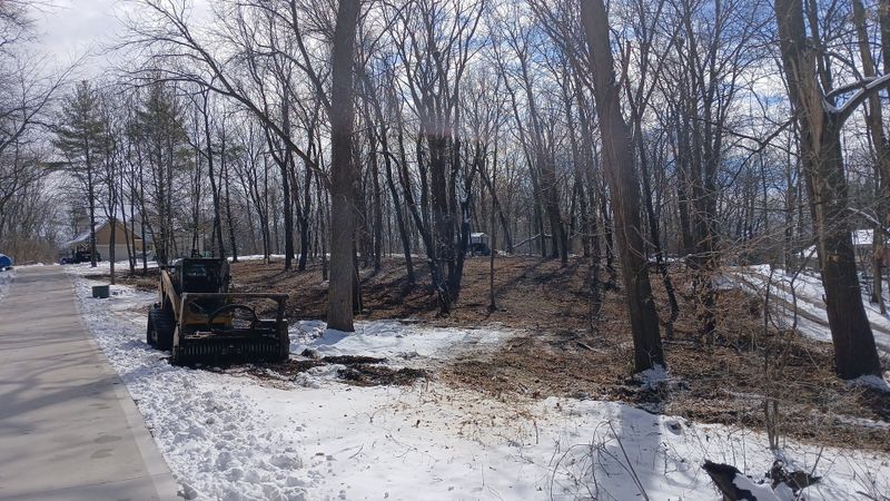 Forestry Mulching