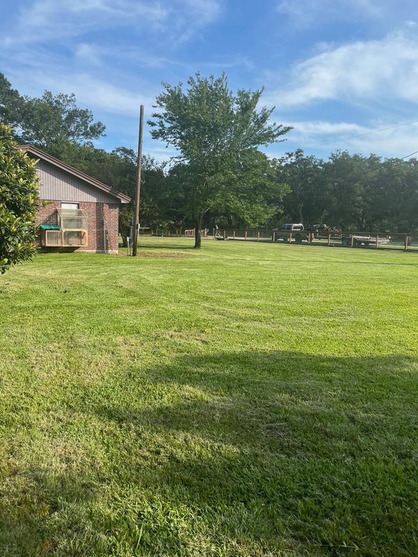 Lawn and Yard Maintenance