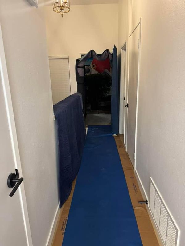 Moving and Storage Services