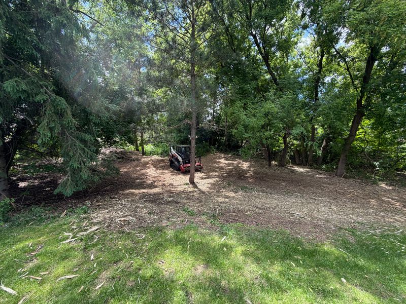Forestry Mulching