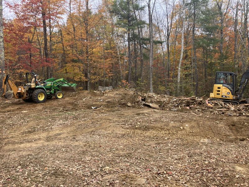 Tree Removal