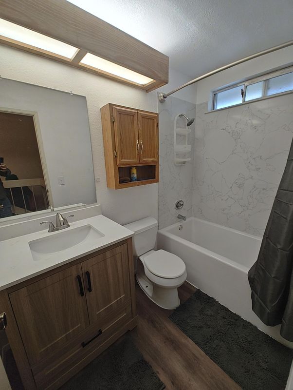 Apartment repairs, renovations & maintenance