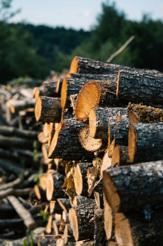 Tree Services