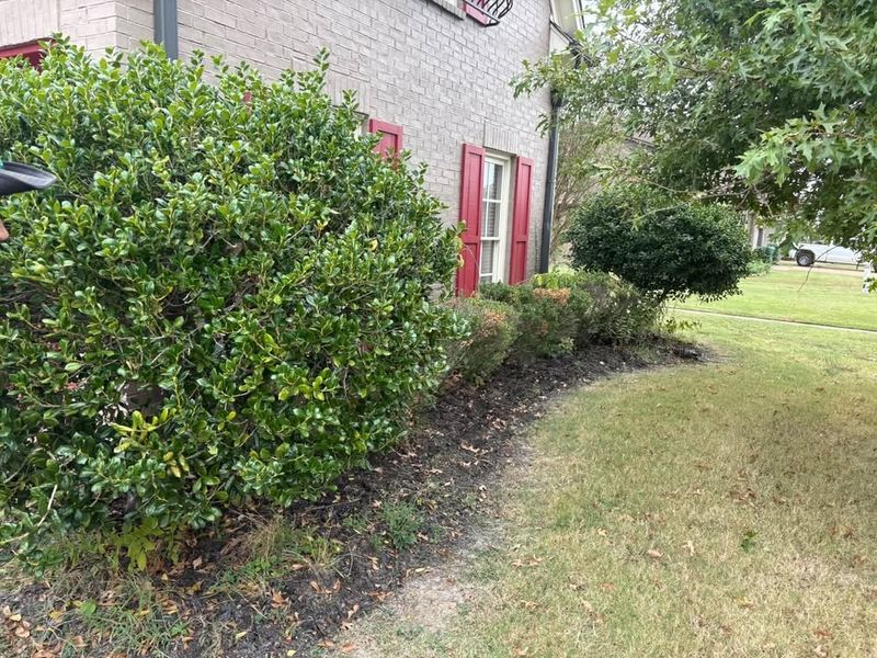 Flower Bed Maintenance