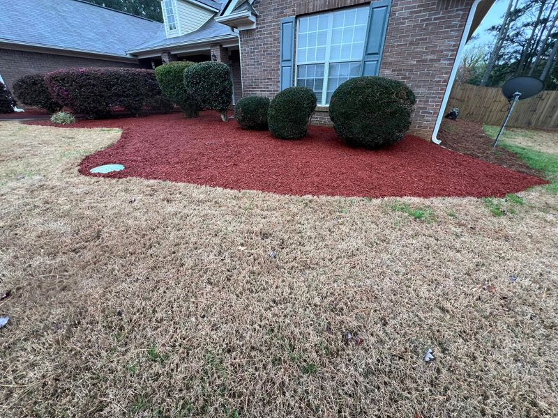 Mulch Installation