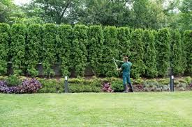 Windermere Oasis: Transformative Landscaping Excellence in Florida