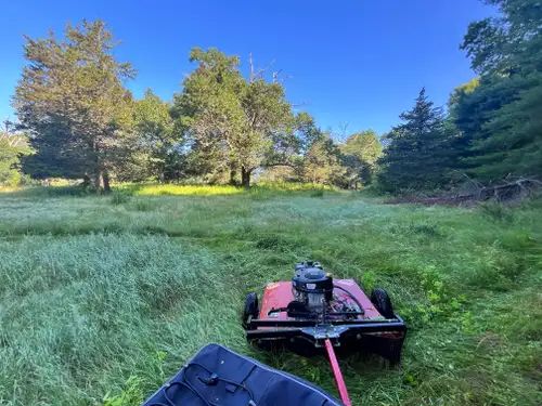 Landscaping