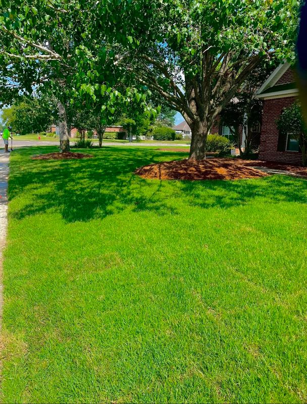 Sod Installation