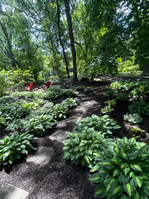 Flower Bed Gallery