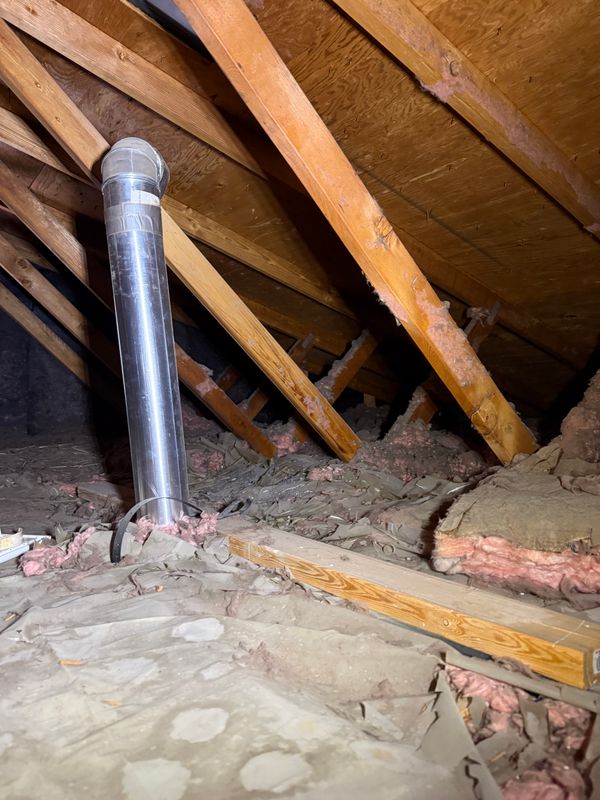 Free Attic Inspections