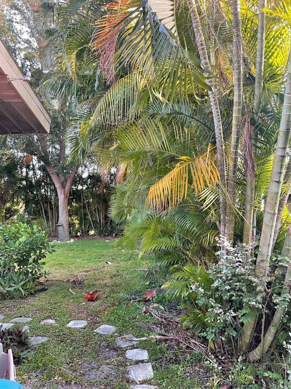 Landscaping