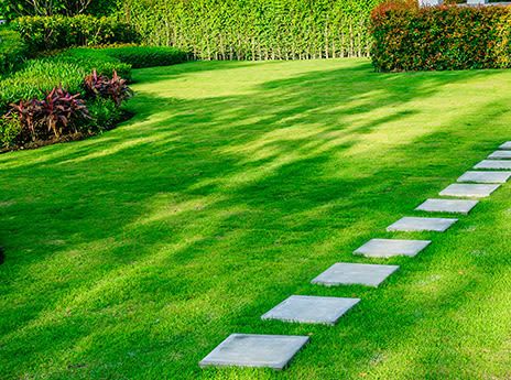 Lawn Maintenance