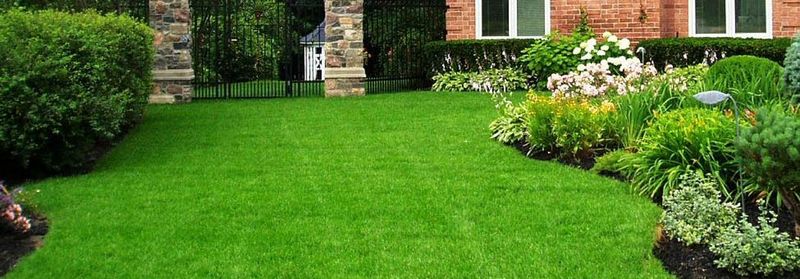 Mowing